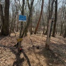 たいら山（2026年3月29日）