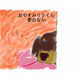 ؤ˥ꥯλ鳨ƤߤޤƤ뤫ʡ٤β