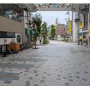 三福(7月上旬)