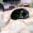 かぁちゃんと一緒‼