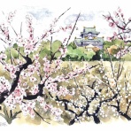 てくてくスケッチブック