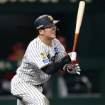 一緒に阪神タイガースを応援しよう！