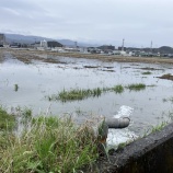 『11日目　2025年3月15日（土）曇りのち雨』の画像