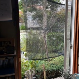 �����褱�٤β���