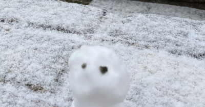 数ヶ月で10kg痩せた姉のひと言で、私も動き出した話