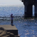 フォッサマグナの東側構造線が千葉に伸びている