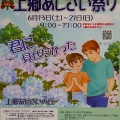 あじさいの丘 準備はかどっています