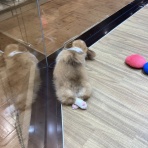 ワンラブ　カインズ広島LECT店のブログ