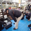 改良メダカ祭ご来場ありがとうございました、来月もやります！
