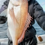 どんこ店長ブログ