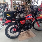 ももんがの飛膜