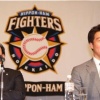 鶴岡慎也さんって日本ハムで2番手捕手以上なの？