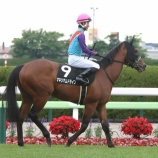 『【遠征馬情報】今日もホッカイドウ競馬勢躍進なるか!? 札幌9R小樽特別に2頭が出走!』の画像