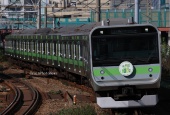 『2025/10/30運転 山手線E235系205系イメージラッピング』の画像