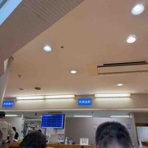 ブッチャケ(ぶっ鮭）日記