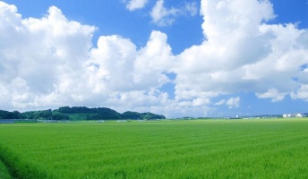 そろそろ夏だし夏の切ない画像ください