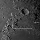 『東田守生さんによる「アレキサンダーのビーズ」2024/03/24』の画像