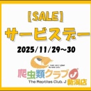【新入荷＆サービスデー】月末恒例のSALE
