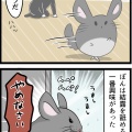 雪の日とぽんさん