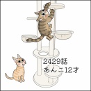 あんこ＆麦2501 あんこ12才