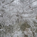 都賀の里　公園散歩