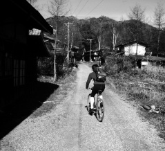 秋の長野遠征2  38年ぶりの鳩打林道と大平峠へ