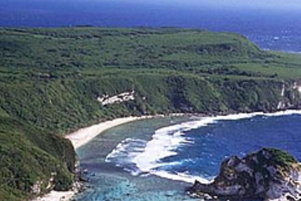 明日葉でむくみ対策 セルライト