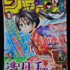 悲報 ワンピース 任天堂のゲームのパクリだったと判明して炎上してしまうwwwiwww みつエモンのオタク情報館