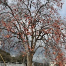 年初、第二週が始まる♪