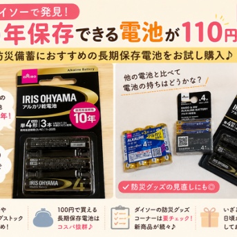 【ダイソー購入品】10年保存できる電池を発見！アイリスオーヤマの長期保存電池を防災備蓄用にお試し購入