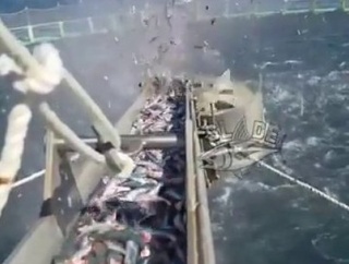 【海外の反応】何これ凄い…船から大量の魚を投げ飛ばす『フィッシュ・イーター9000』に外国人「魚地獄」「クラーケンの餌か？」