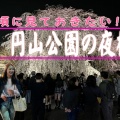 アートの旅2026春号発刊(5)／花前カレン＠京都国際芸術協会