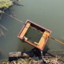 まだ野釣りの方ではタナゴは早すぎる様子でしたね