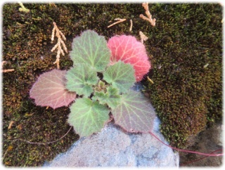 でも痛いのよ。