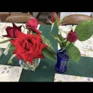 薔薇の思い出