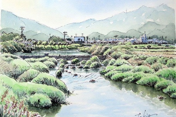 シニアから始めた透明水彩画