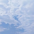 夜の芝生でヨガ