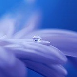 『優しくされると涙が出るのはなぜ？』の画像