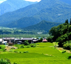 魚沼の旅