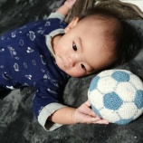 『明日から3月』の画像