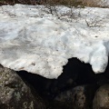 登山道の状況