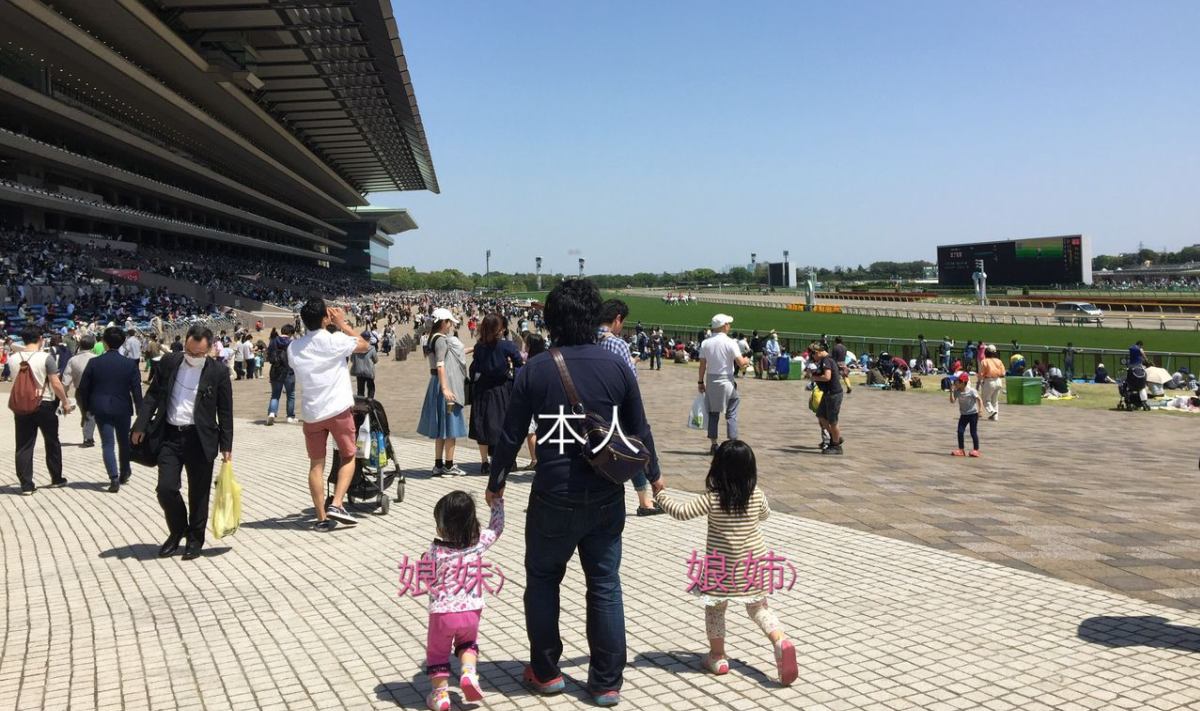 【グラスワンダー素人予想】愛知杯2022～1人検討会 徒然競馬日記