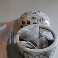 【フロストベリー】無農薬だとさらにいいね♪人気と聞いて懐かしくなって！