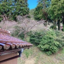雨で始まる年度末
