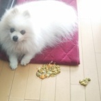 Dori・Ichi・Bii　の家 🎶