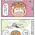 おばば日記