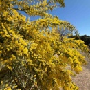 やりたいことへたどり着くための試行錯誤　書くこと編