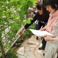 Garden Re- Quest 狭くても大丈夫/木村邸
