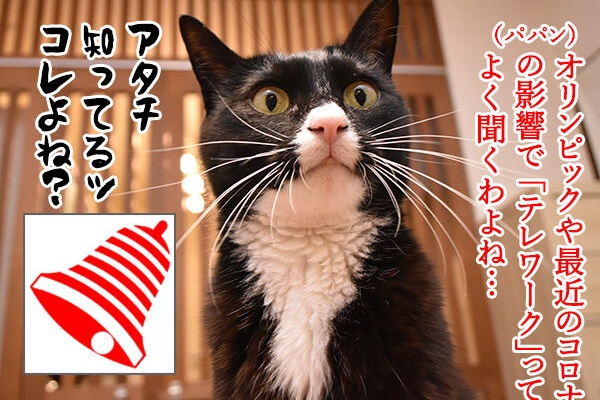 あずきさんとだいずさん 年02月