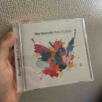 Northern19 Official Blog